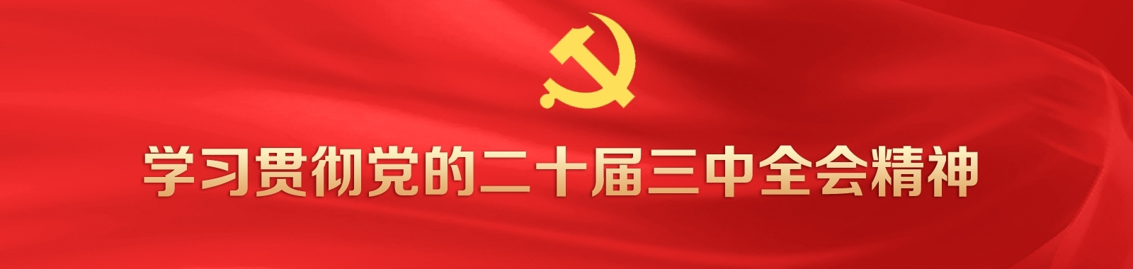 学习贯彻党的二十届三中全会精神